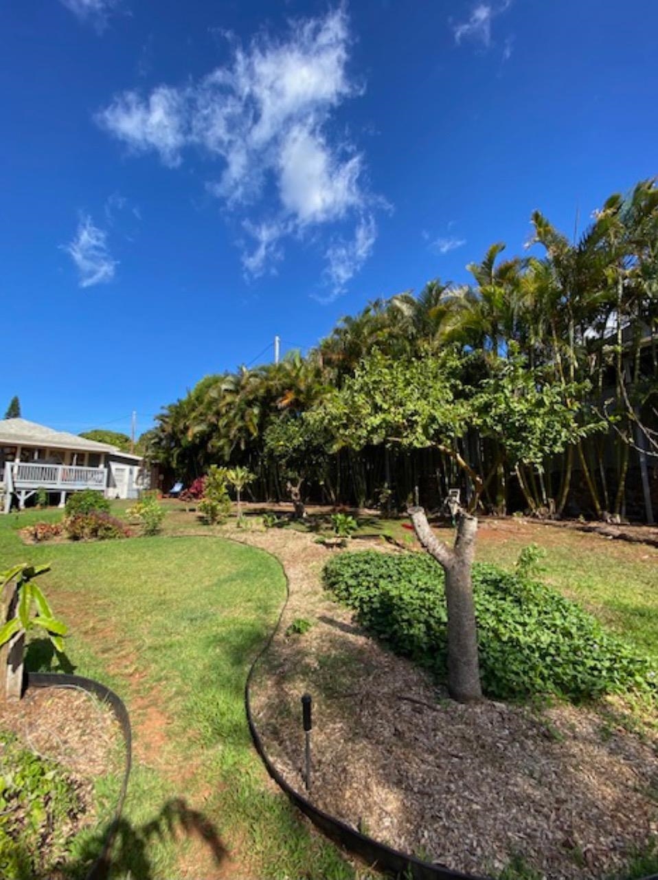 30 Olinda Road Makawao, HI 96768 - Photo 27 of 30