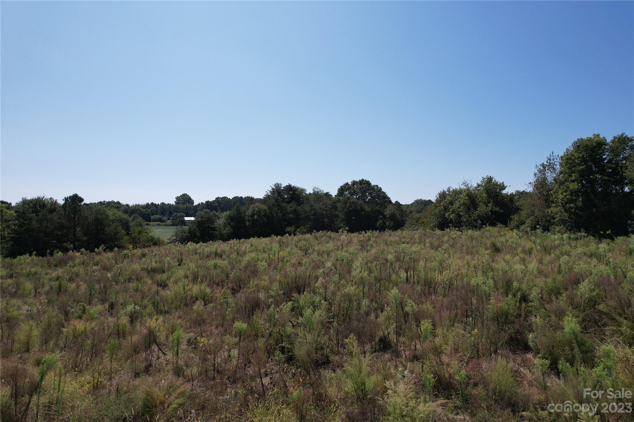 0 Charlie Randall Road Lawndale, NC 28090 - Photo 1 of 26 Gallery Image 1