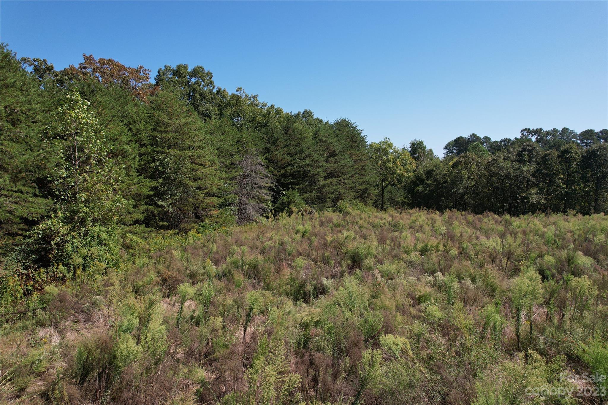 0 Charlie Randall Road Lawndale, NC 28090 - Photo 2 of 26 Gallery Image 2