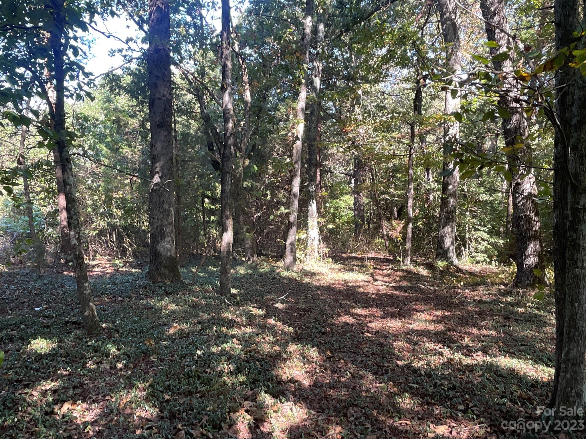 0 Charlie Randall Road Lawndale, NC 28090 - Photo 3 of 26 Gallery Image 3