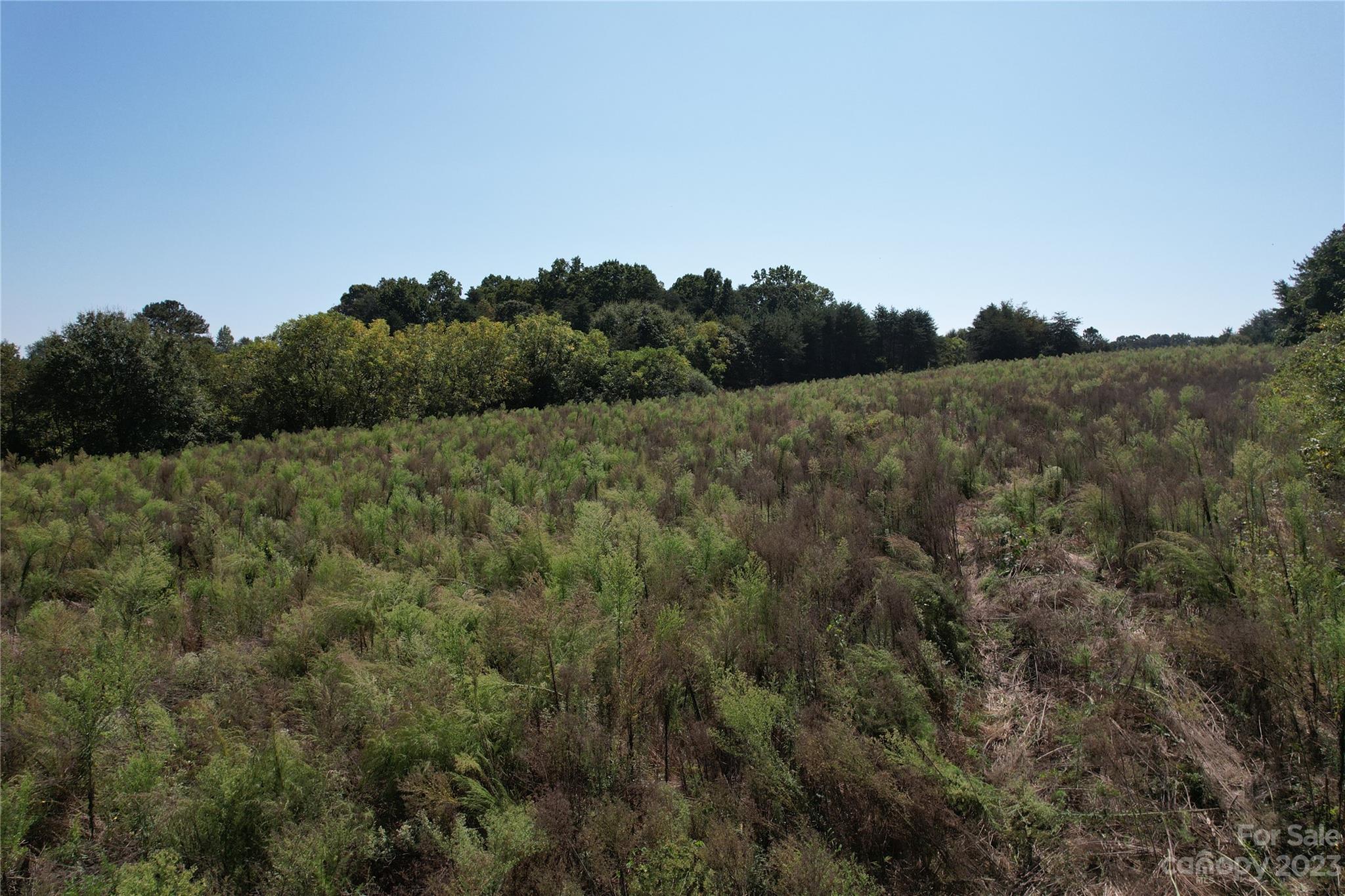 0 Charlie Randall Road Lawndale, NC 28090 - Photo 5 of 26 Gallery Image 5