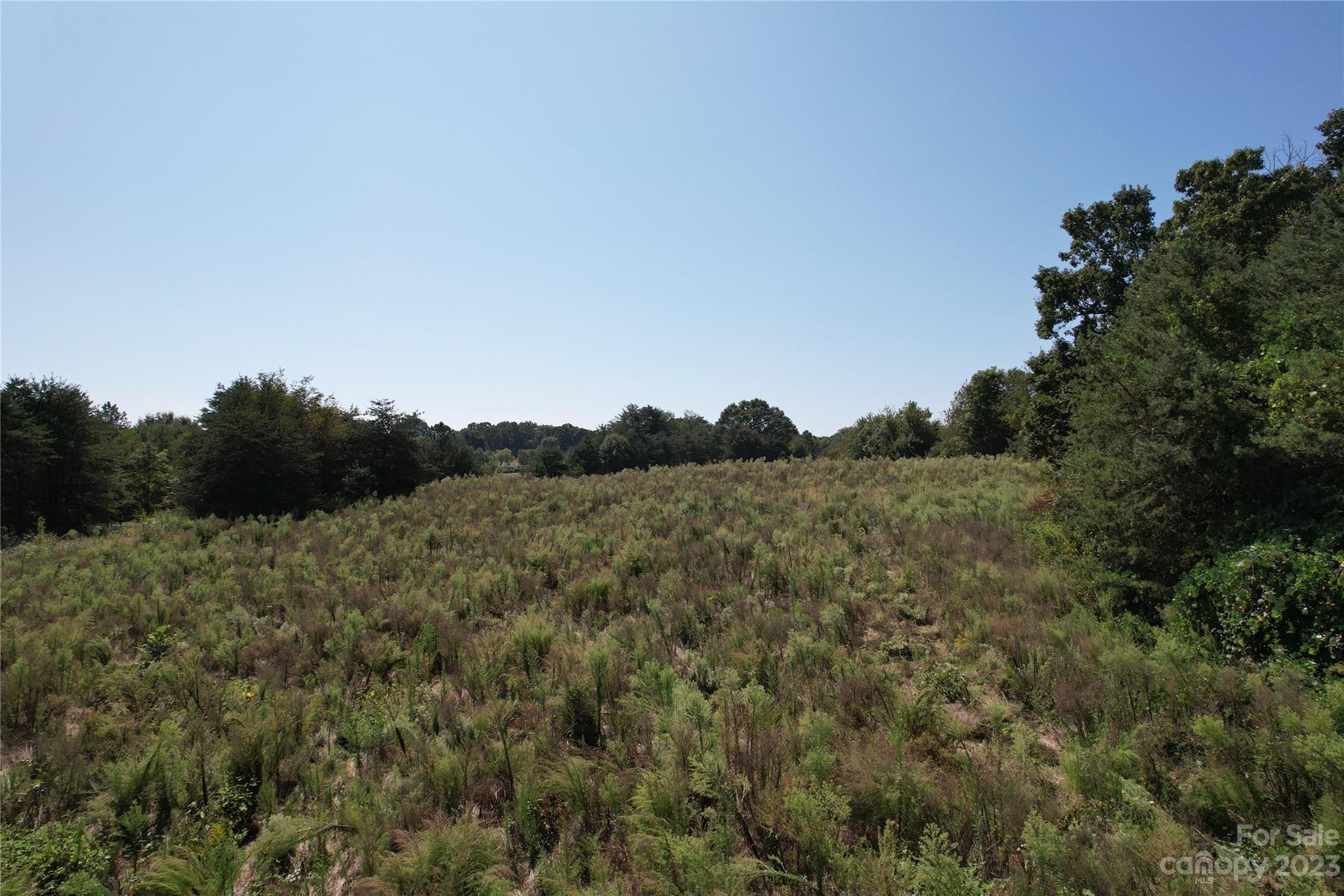 0 Charlie Randall Road Lawndale, NC 28090 - Photo 6 of 26 Gallery Image 6