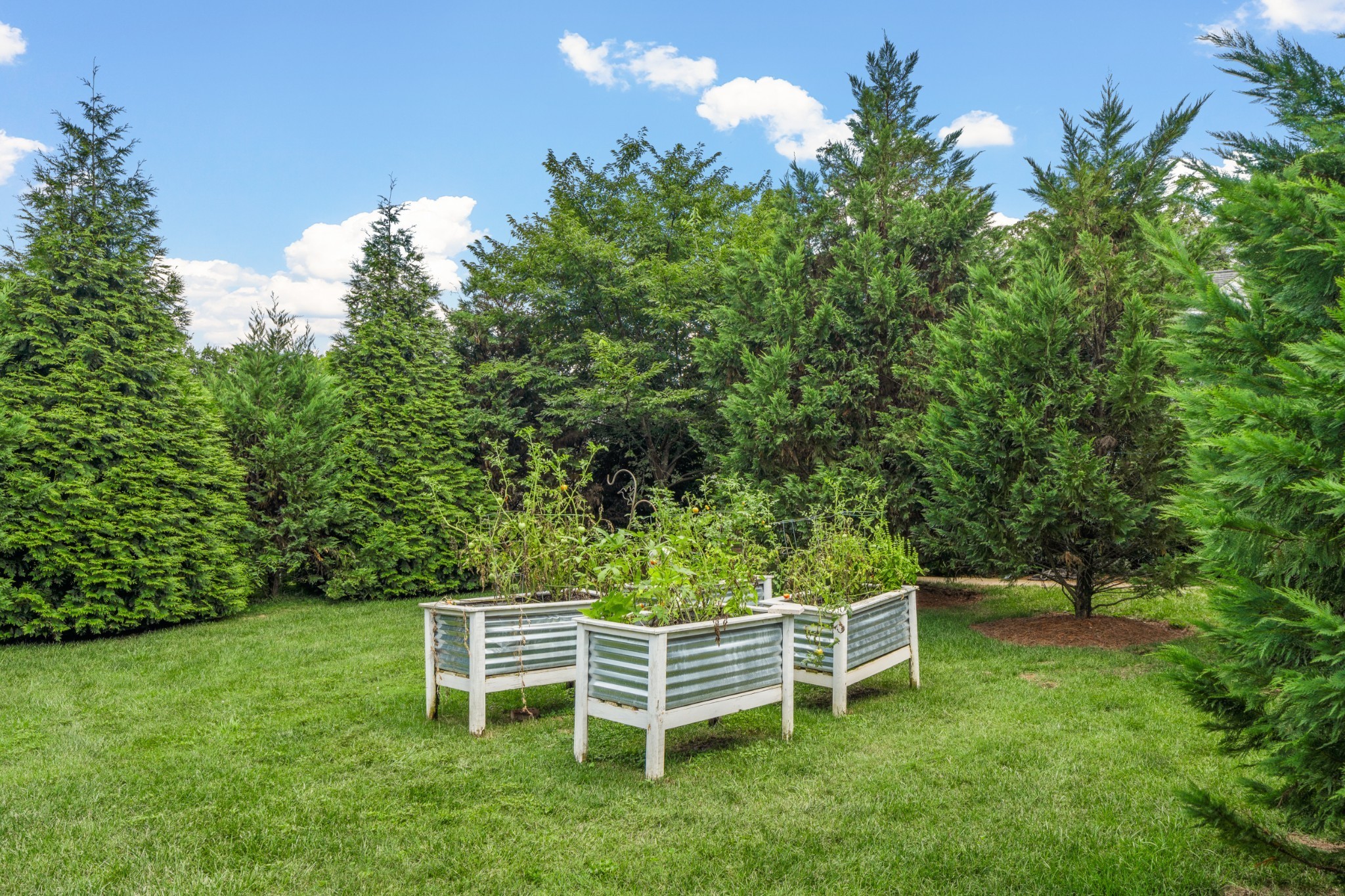 5566 Hill Road Brentwood, TN 37027 - Photo 59 of 62 a backyard of a house with outdoor seating and green space