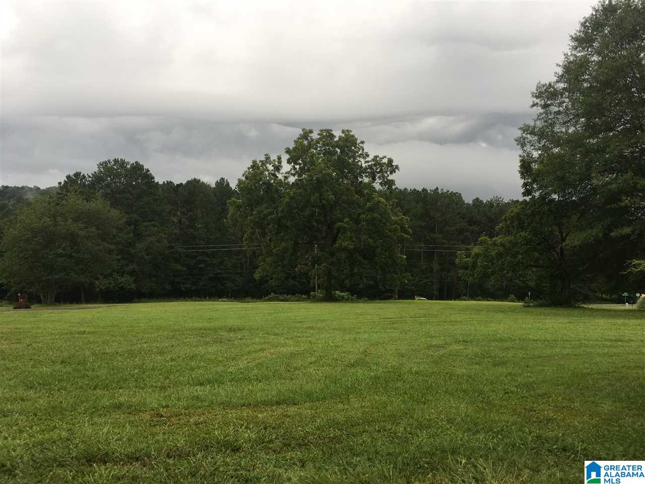 1433 Beat Line Road Warrior, AL 35180 - Photo 15 of 15