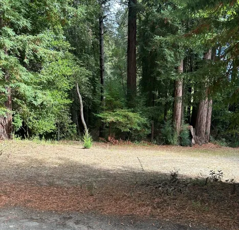 a view of a wooden fence with trees