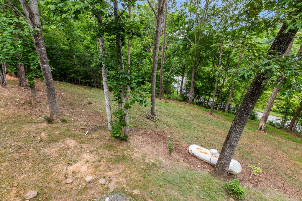 1214 Marrestop Road Murphy, NC 28906 - Photo 6 of 78