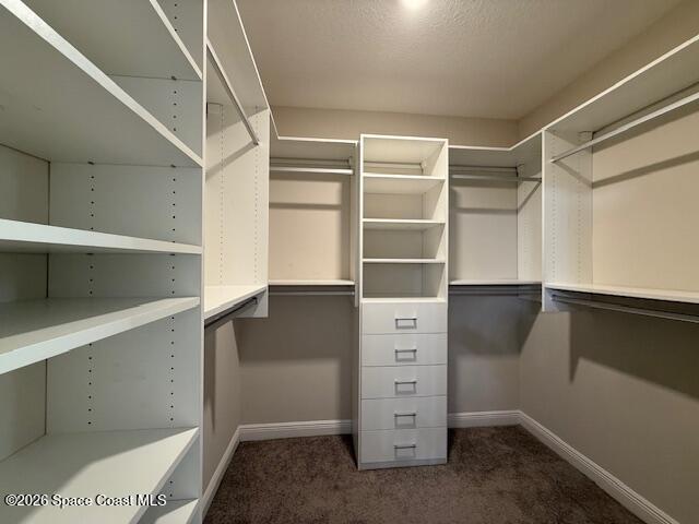 4570 Hebron Drive Merritt Island, FL 32953 - Photo 18 of 23 a view of walk in closet with clothes