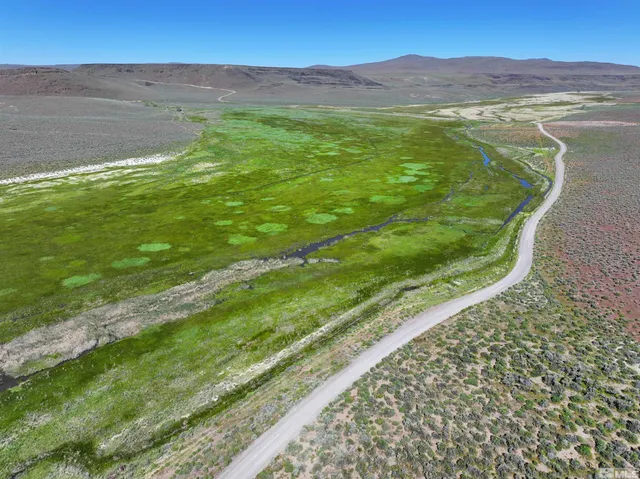 a view of a lush green hillside and an ocean view