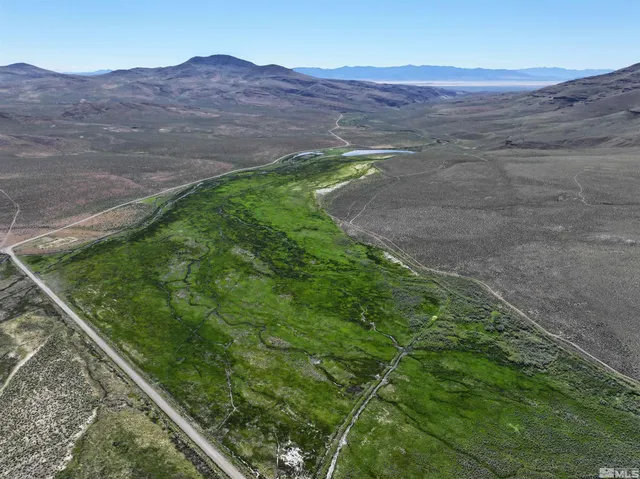 a view of a lush green field