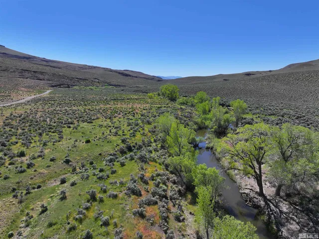 a view of a lush green field
