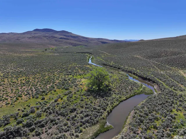 a view of a mountain with a forest