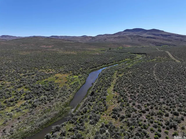 a view of a mountain with a forest