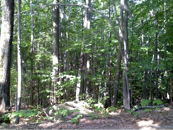 43 Pond View Road Weare, NH 03281 - Photo 1 of 1