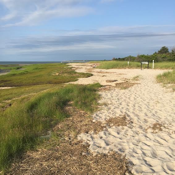 1500 Mary Dunn Road Barnstable, MA 02630 - Photo 41 of 41 Bone Hill rd beach