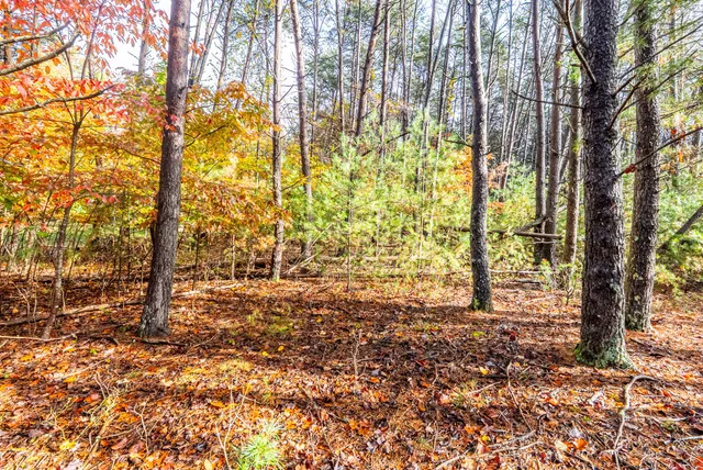 $30,000 | Tbd Harbor Landing Drive, Moneta, VA 24121