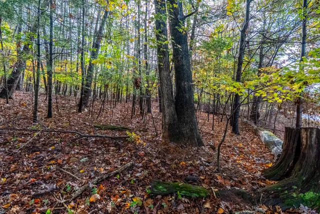 $30,000 | Tbd Harbor Landing Drive, Moneta, VA 24121