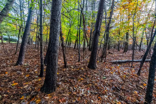 $30,000 | Tbd Harbor Landing Drive, Moneta, VA 24121