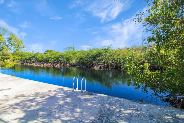 a view of a lake with a yard and a large tree