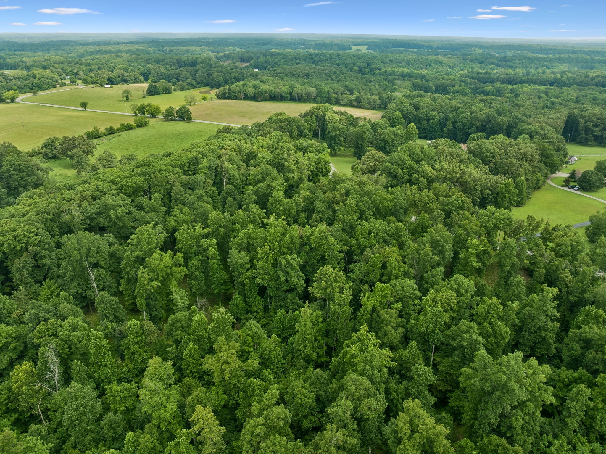 0 Elrod Road Fairview, TN 37062 - Photo 21 of 31
