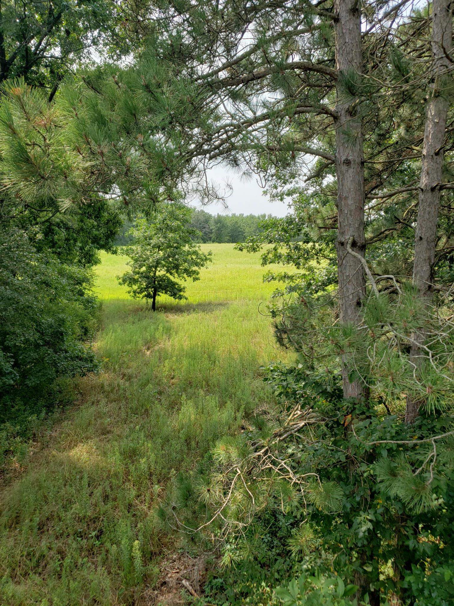 N7712 Church Road Portage, WI 53901 - Photo 33 of 44 Gallery Image 33