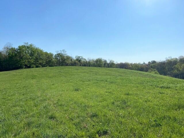 2451 Sardis Road Mount Olivet, KY 41064 - Photo 25 of 42
