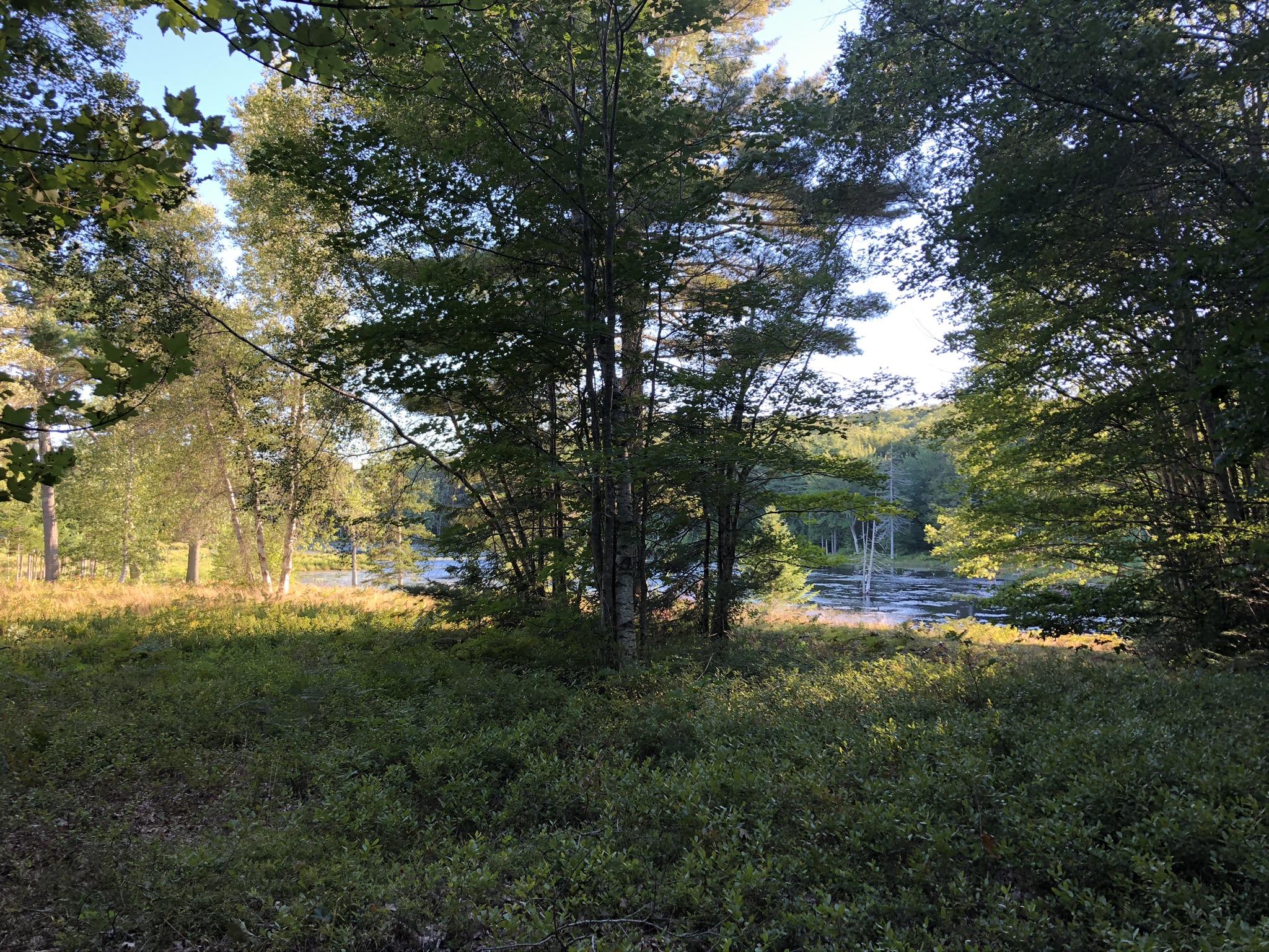 410 Rock School House Road Bristol, ME 04539 - Photo 6 of 13 IMG_3285