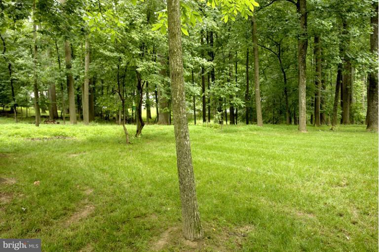 9400 Brink Road Gaithersburg, MD 20882 - Photo 30 of 30 Backyard view