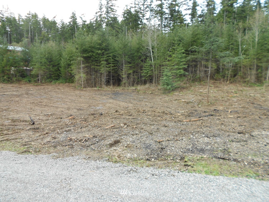 117 Soaring Eagle Road Port Ludlow, WA 98365 - Photo 2 of 8 Gallery Image 2