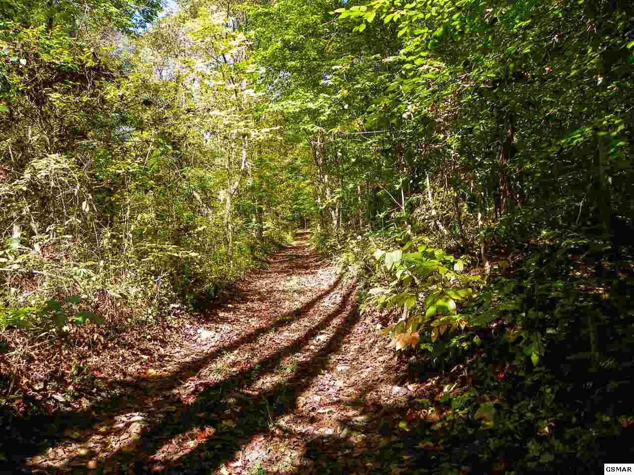 3 Obes Branch Road Sevierville, TN 37876 - Photo 14 of 33 Gallery Image 14