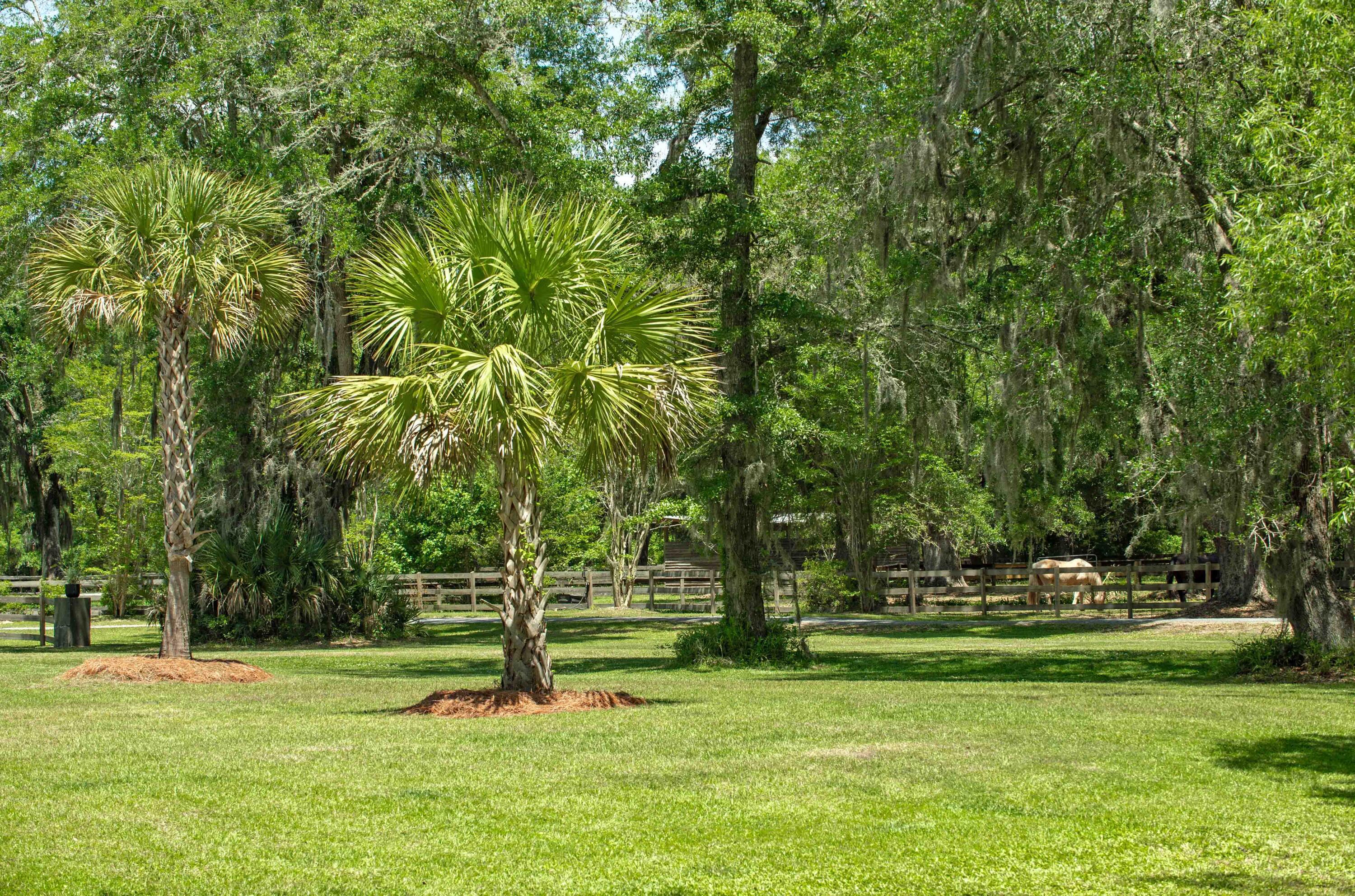 5068 Sweetgrass Farm Road Johns Island, SC 29455 - Photo 71 of 85 Sweetgrass Farm Road-71