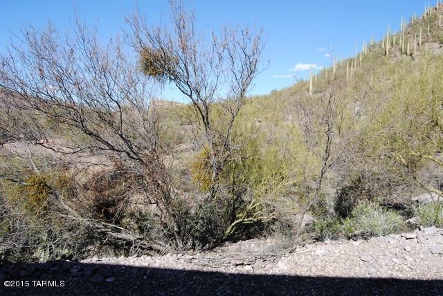 4490 West Bilby Road Tucson, AZ 85746 - Photo 23 of 25 Gallery Image 23