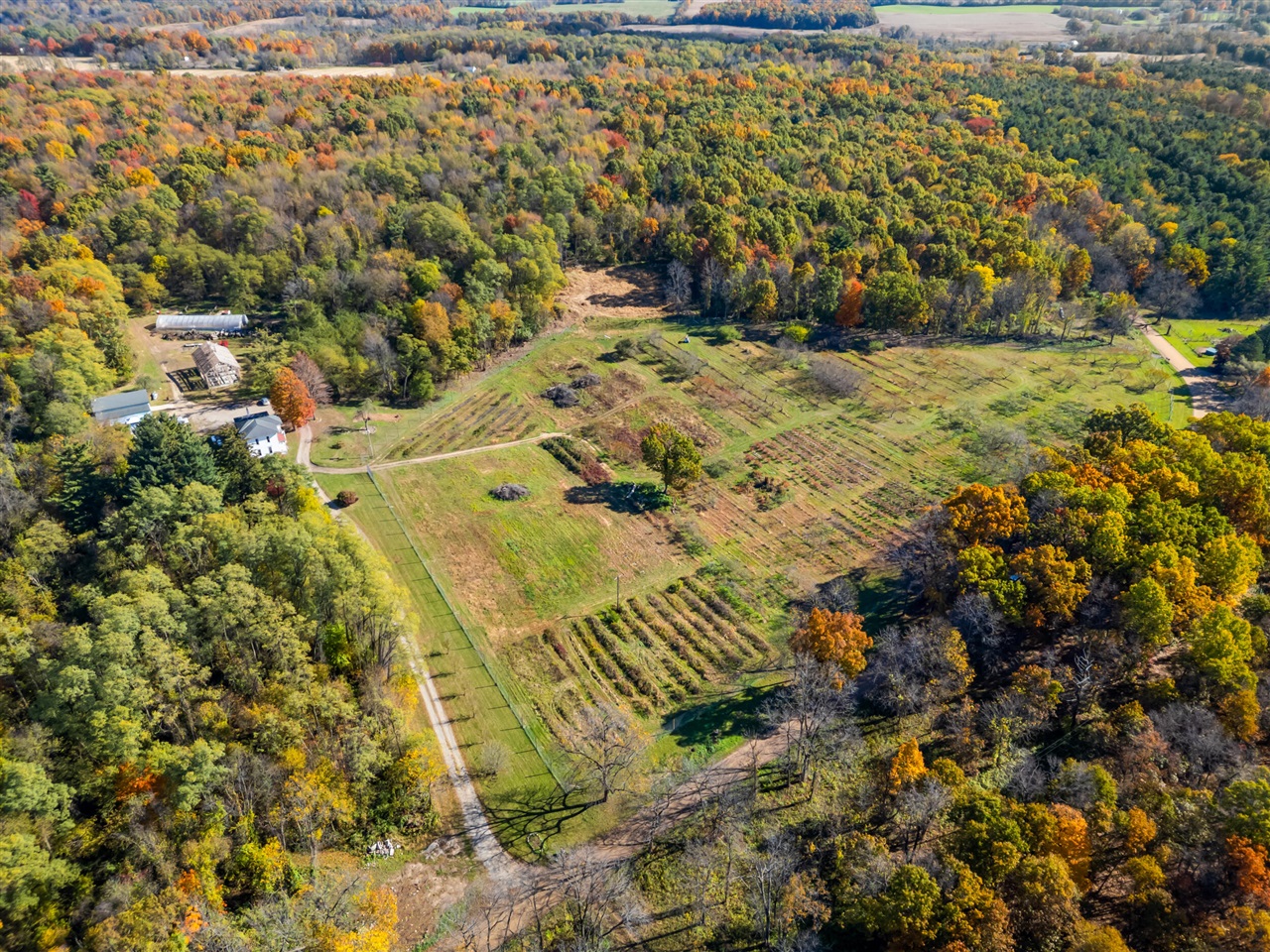 4680 Fitzpatrick Road Jonesville, MI 49250 - Photo 2 of 79