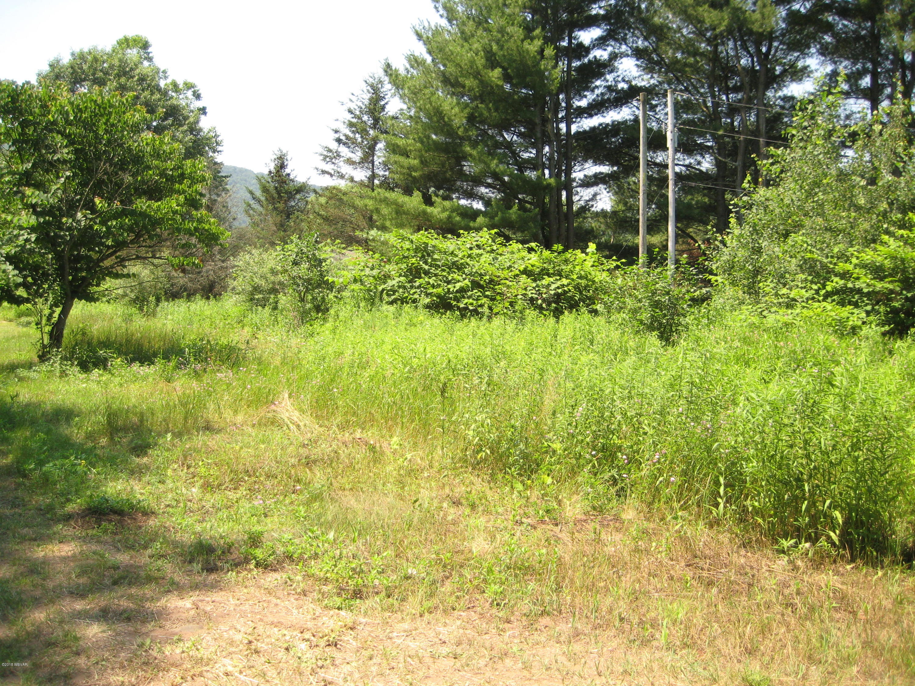 41 Buttonwood Road Hillsgrove, PA 18619 - Photo 10 of 15 IMG_2158