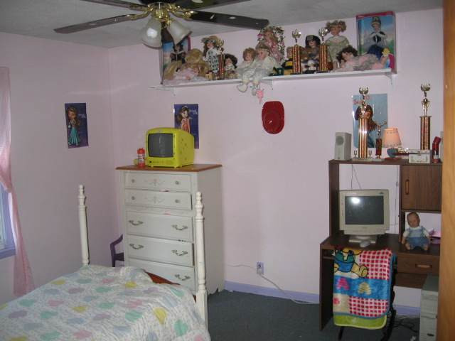 4426 Saunt Road Jackson, MI 49201 - Photo 6 of 9 Photo 6