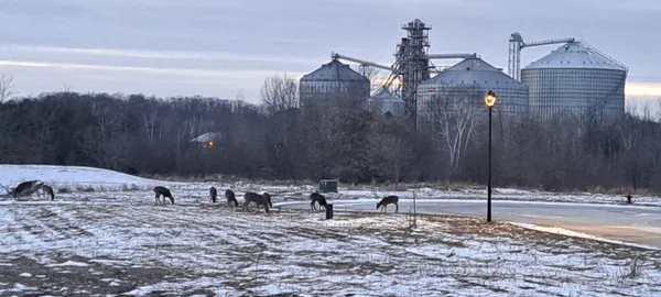 $421,000 | 90 McDermott Court, Random Lake, WI 53075