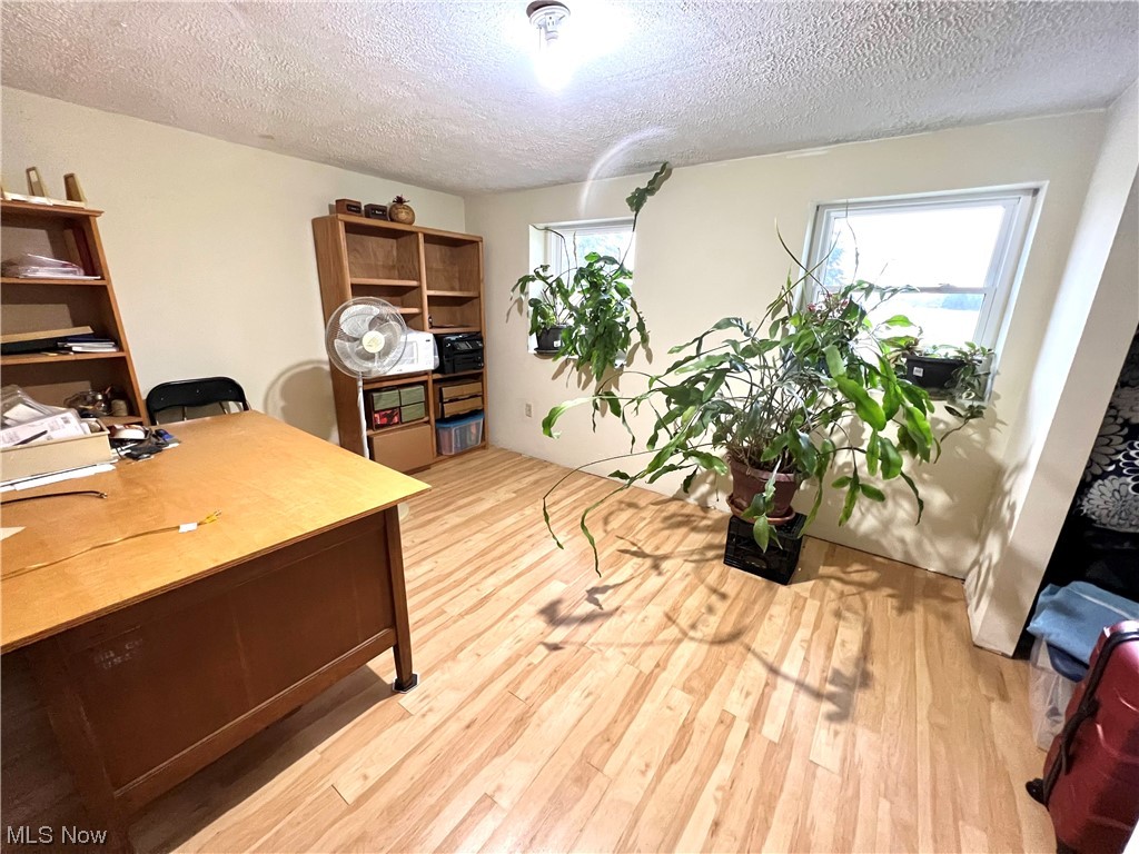 7204 Frailey Road Vermilion, OH 44089 - Photo 16 of 28 Home office featuring light hardwood / wood-style flooring, a textured ceiling, and plenty of natural light