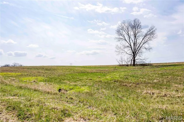 $1 | 0 County Road 318, Canton, MO 63435