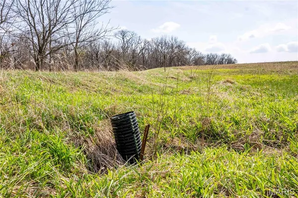 $1 | 0 County Road 318, Canton, MO 63435