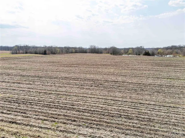 $1 | 0 County Road 318, Canton, MO 63435