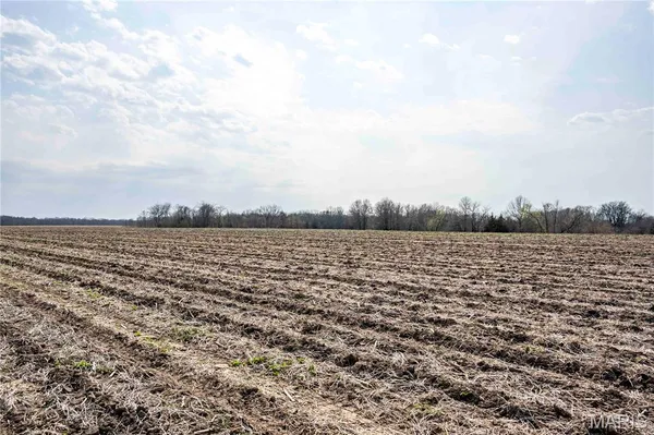 $1 | 0 County Road 318, Canton, MO 63435