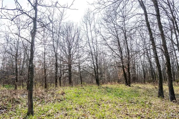 $1 | 0 County Road 318, Canton, MO 63435