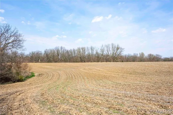 $1 | 0 County Road 318, Canton, MO 63435