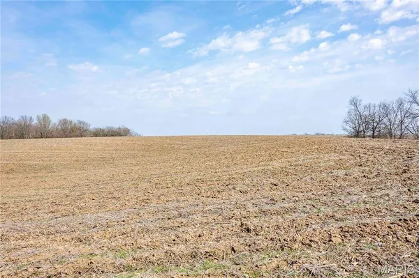 $1 | 0 County Road 318, Canton, MO 63435