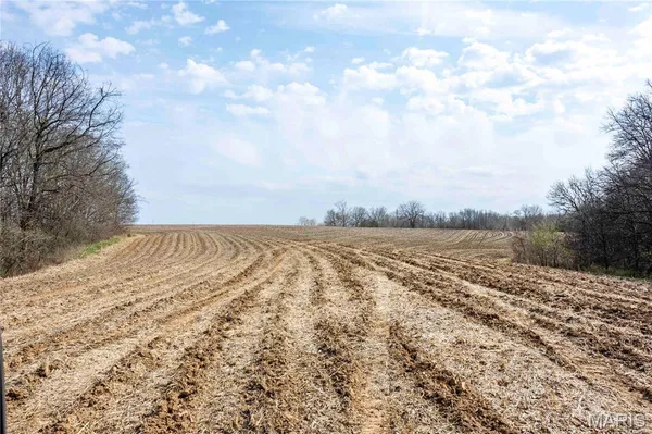 $1 | 0 County Road 318, Canton, MO 63435