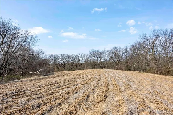 $1 | 0 County Road 318, Canton, MO 63435