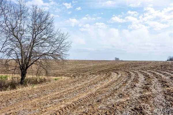 $1 | 0 County Road 318, Canton, MO 63435
