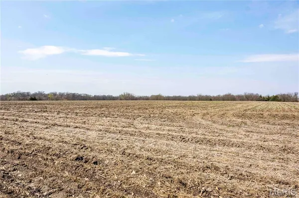 $1 | 0 County Road 318, Canton, MO 63435