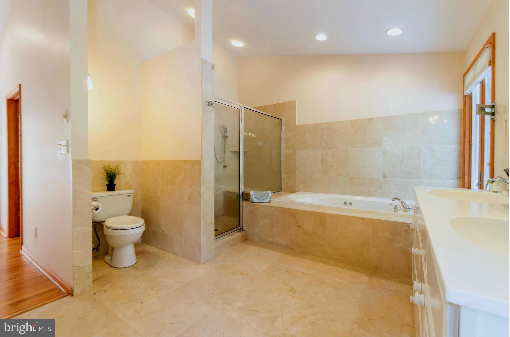 13423 Blenfield Road Phoenix, MD 21131 - Photo 17 of 30 Master bath