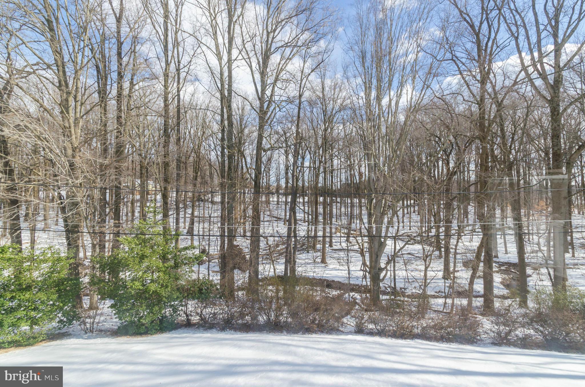 13423 Blenfield Road Phoenix, MD 21131 - Photo 29 of 30 View from deck