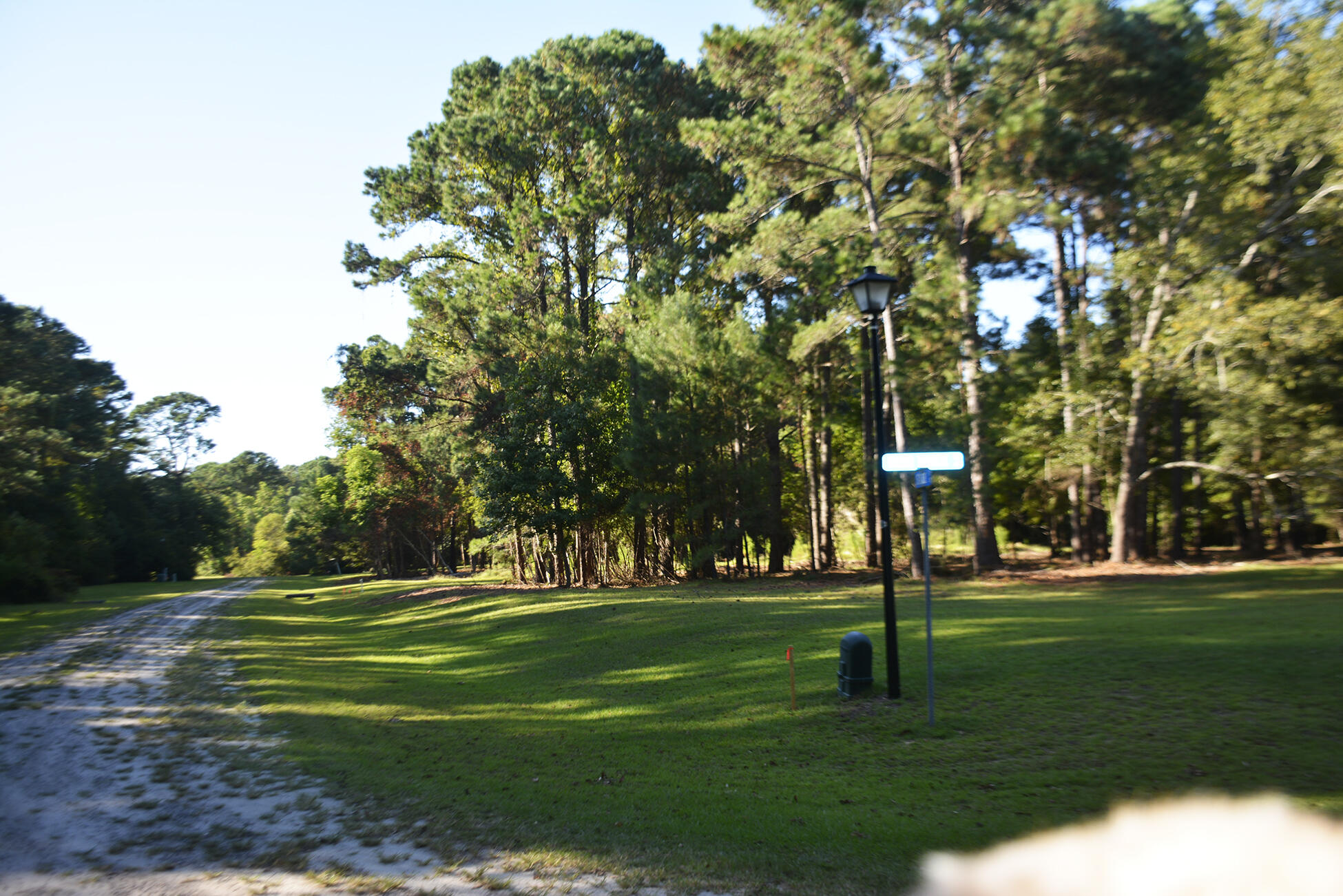 57 Seaside Lane Edisto Island, SC 29438 - Photo 12 of 18 _DSC8293